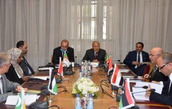 أبو الغيط يؤكد أهمية تعزيز التعاون العربي الافريقي وعدم ترك الساحة لأطراف اخرى