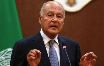 أبو الغيط يناقش مع نائبة المفوض السامي للأمم المتحدة لحقوق الإنسان أوجه التعاون بين الجامعة والمفوضية