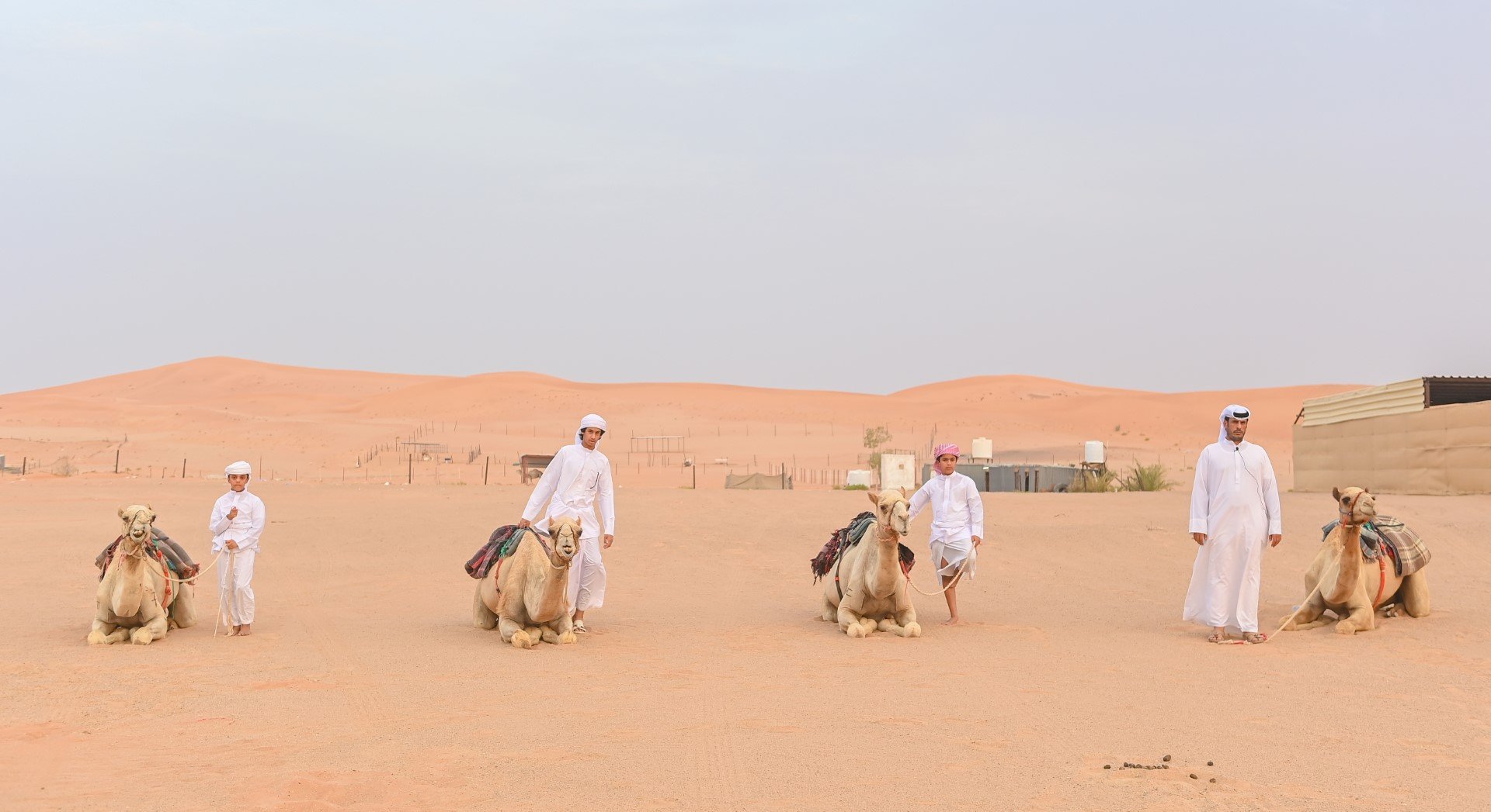 مركز العين الشبابي يختتم برنامج الهجن التراثي.. صور مركز العين الشبابي يختتم برنامج الهجن التراثي.. صور