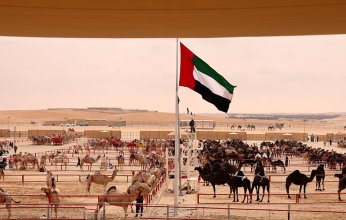 انطلاق مهرجان الظفرة للإبل 28 أكتوبر المقبل