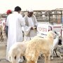 khaligyoun76058