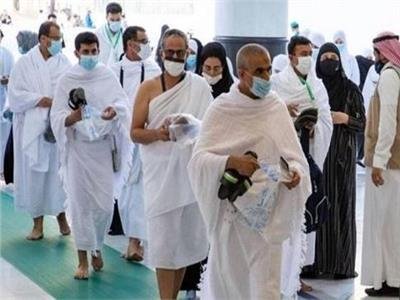 السعودية: وصول أكثر من 157 ألف حاج إلى المدينة المنورة السعودية: وصول أكثر من 157 ألف حاج إلى المدينة المنورة