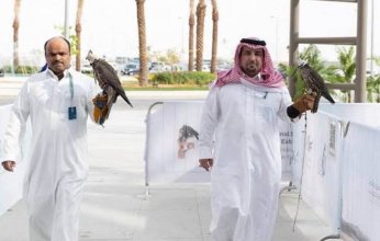انطلاق فعاليات معرض الصقور والصيد السعودي الدولي في نسخته الرابعة