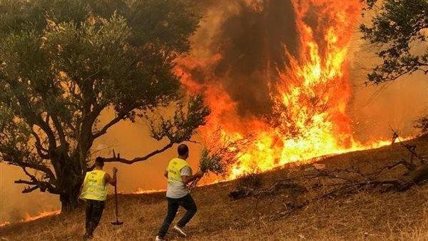 الحماية المدنية الجزائرية تعلن إخماد جميع الحرائق المندلعة في عدة ولايات الحماية المدنية الجزائرية تعلن إخماد جميع الحرائق المندلعة في عدة ولايات