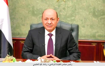 العليمي يعرب عن تقديره لمواقف مصر المساندة لبلاده