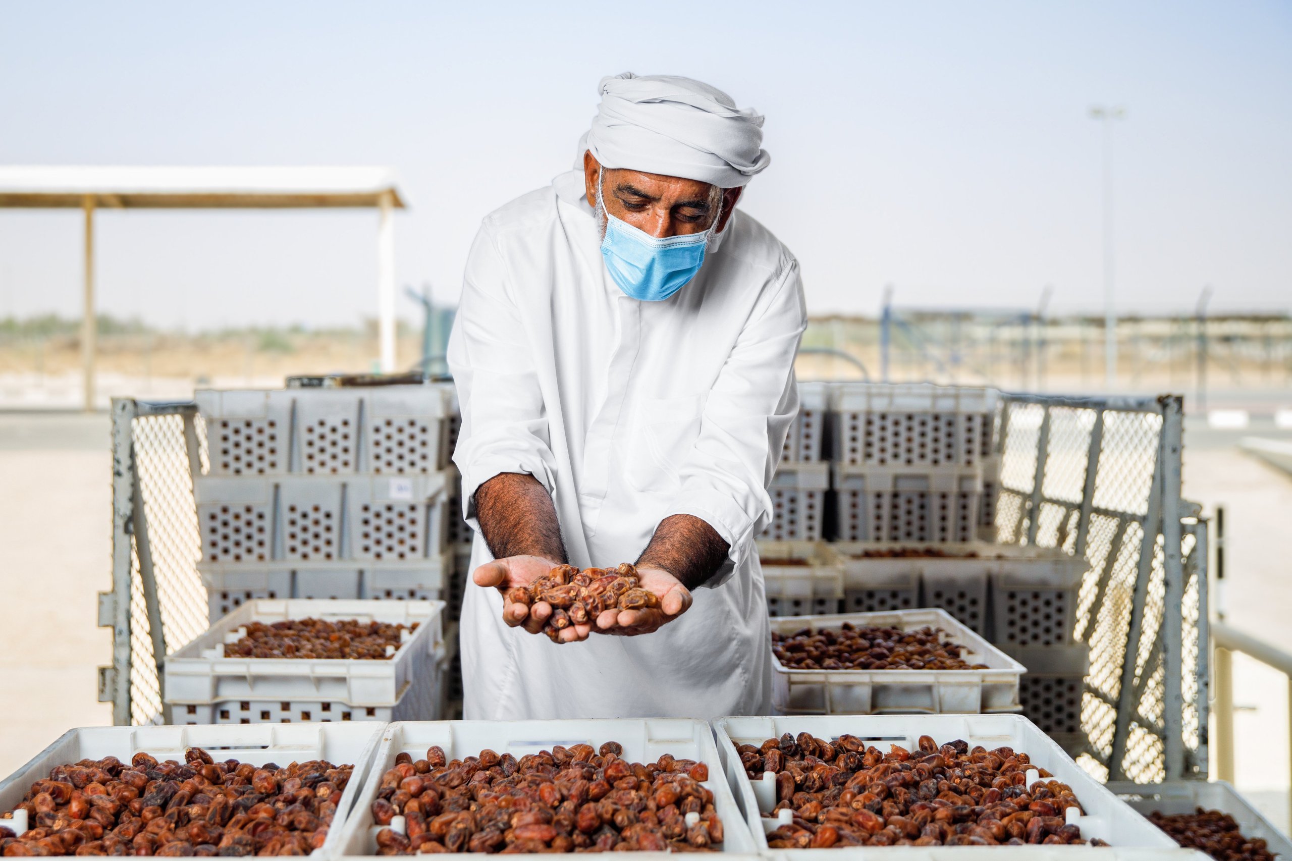"أغذية" تُعلن بدء موسم تسويق التمور لعام 2022 عبر الفوعة "أغذية" تُعلن بدء موسم تسويق التمور لعام 2022 عبر الفوعة