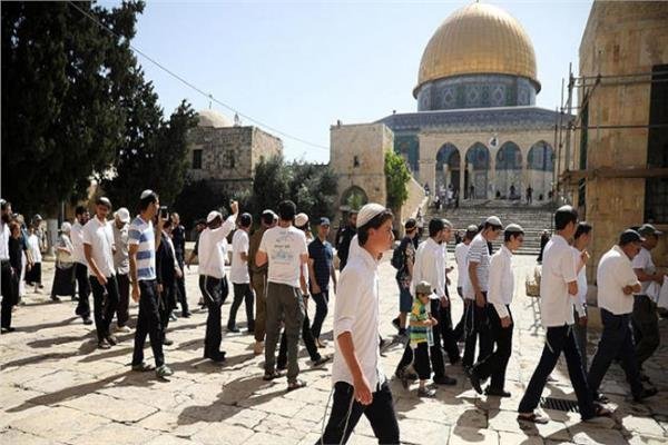 عشرات المستوطنين الإسرائيليين يقتحمون المسجد الأقصى تحت حراسة مشددة من شرطة الاحتلال عشرات المستوطنين الإسرائيليين يقتحمون المسجد الأقصى تحت حراسة مشددة من شرطة الاحتلال