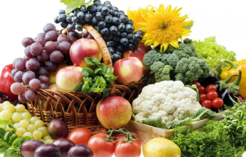 صادرات السلع الزراعية المصرية تحقق ملياران و452 مليون دولار