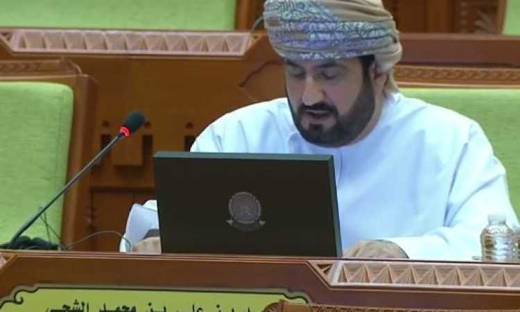 عُمان تؤكد أمام اجتماع أممي موقفها الثابت في تعزيز مفهوم السلام عُمان تؤكد أمام اجتماع أممي موقفها الثابت في تعزيز مفهوم السلام