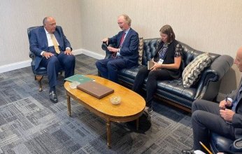 وزير الخارجية المصري يؤكد على أهمية الدفع بالحل السياسي في سوريا