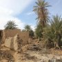 khaligyoun47032