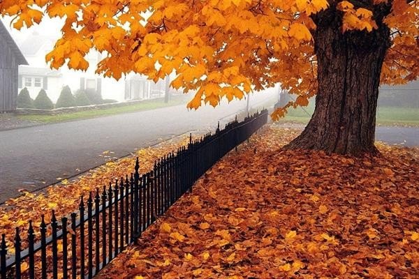 معهد الفلك بمصر: اليوم ينتهي الصيف.. والخريف يبدأ غدا معهد الفلك بمصر: اليوم ينتهي الصيف.. والخريف يبدأ غدا