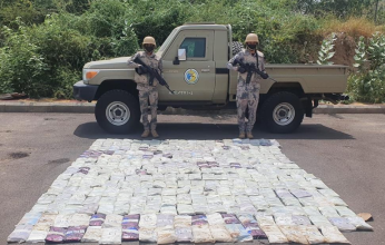 السعودية.. إحباط محاولة تهريب (300) كيلو جرام من الحشيش بجازان