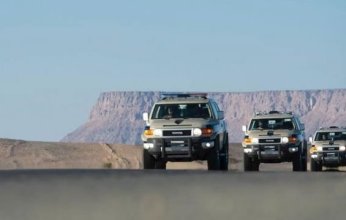 السعودية.. ضبط 3 أشخاص بحوزتهم 62 كيلوجرامًا من نبات القات بجازان