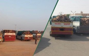السعودية.. القبض على (7) مواطنين مخالفين لنظام البيئة بالرياض