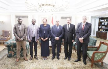 مصر وغينيا تبحثان التعاون في البحث العلمي والتكنولوجيا