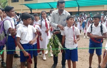 بسبب مهاجمة الدبابير.. نقل 42 تلميذاً إلى المستشفى في سريلانكا