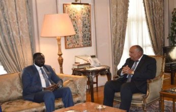 مصر وجامبيا تبحثان سبل تعزيز العلاقات الثنائية بين البلدين