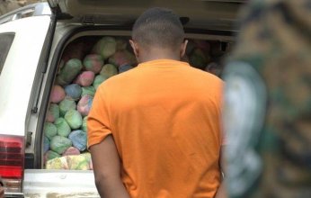 السعودية.. إحباط محاولة تهريب أكثر من 3.3 أطنان من القات و772 كجم من الحشيش