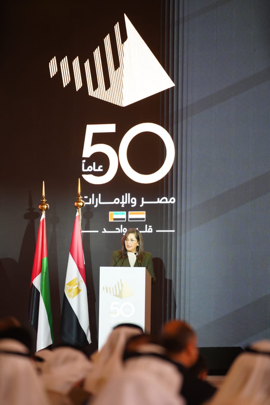 د هالة السعيد: العلاقات المصرية الإماراتية تمثّل نموذجاً استثنائياً للعلاقات العربية-العربية د هالة السعيد: العلاقات المصرية الإماراتية تمثّل نموذجاً استثنائياً للعلاقات العربية-العربية