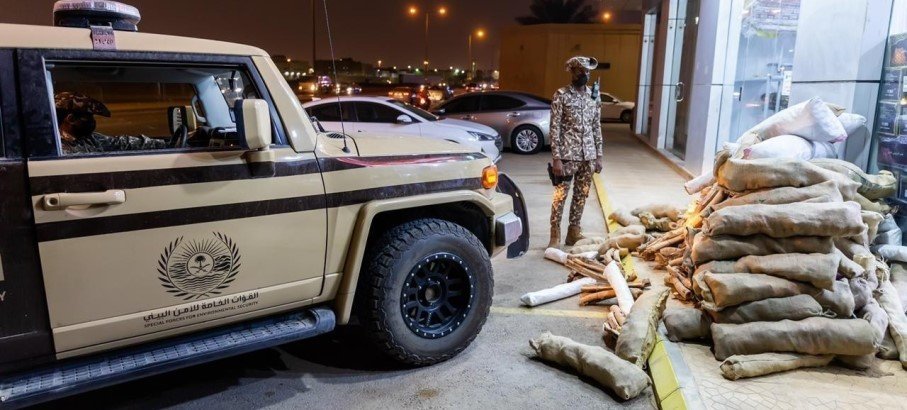 السعودية.. القبض على مخالفين لنظام البيئة لاستخدامهم حطبًا وفحمًا محليين في أنشطة تجارية السعودية.. القبض على مخالفين لنظام البيئة لاستخدامهم حطبًا وفحمًا محليين في أنشطة تجارية