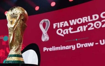 الحكومة المصرية تعتمد تسهيلات تأشيرة الدخول لحاملي كارت المشجع "هيّا"