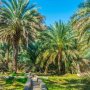 khaligyoun31784