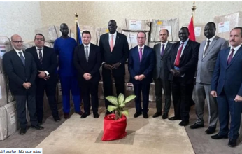 مصر تسلم شحنة مساعدات طبية ودوائية لـ جنوب السودان