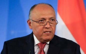 وزير الخارجية المصري يؤكد على أهمية تغليب الحل السياسي لإنهاء الأزمة الروسية الأوكرانية