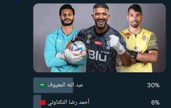 الشناوى ضمن افضل الحراس العرب في مونديال الأندية