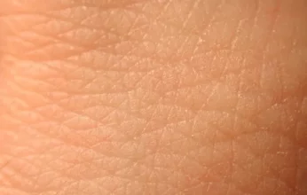 صناعة جلد شبيه بالبشري لاختبارات الأدوية