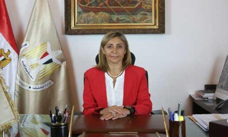 الإثنين.. مؤتمر صحفي للكشف عن تفاصيل معرض القاهرة الدولي للكتاب الـ 54 الإثنين.. مؤتمر صحفي للكشف عن تفاصيل معرض القاهرة الدولي للكتاب الـ 54