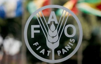الفاو: تراجع أسعار الغذاء العالمية للشهر العاشر على التوالي