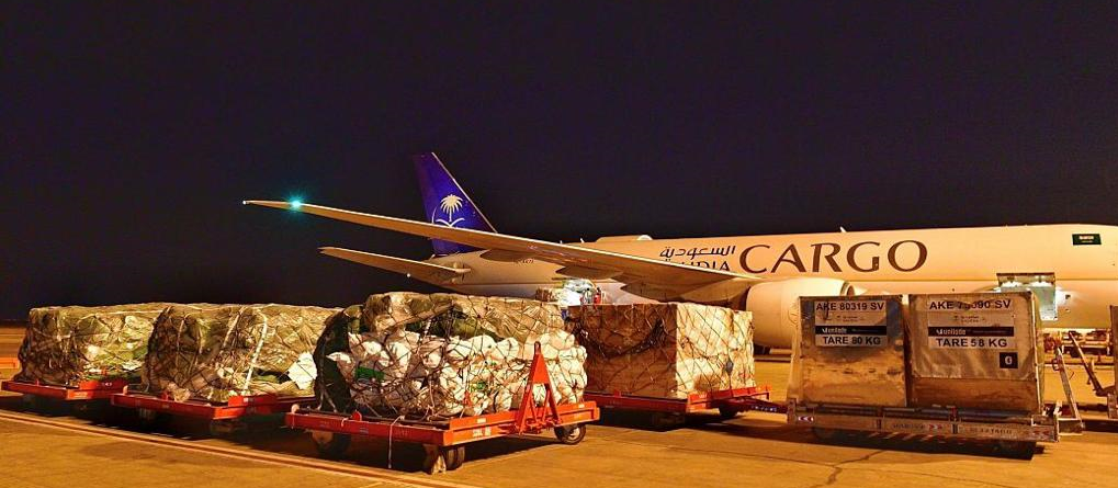 فريق البحث والإنقاذ السعودي يشارك في إغاثة المتضررين في زلزال تركيا وسوريا فريق البحث والإنقاذ السعودي يشارك في إغاثة المتضررين في زلزال تركيا وسوريا