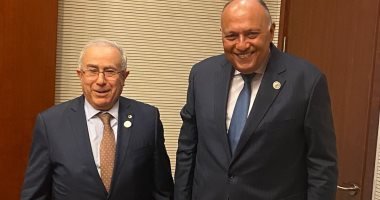 مصر والجزائر تبحثان تعزيز العمل الجماعي الإفريقي مصر والجزائر تبحثان تعزيز العمل الجماعي الإفريقي