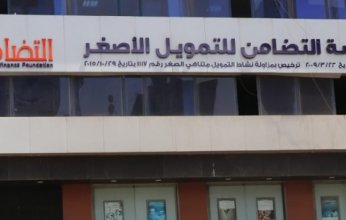 مؤسسة التضامن للتمويل الأصغر تحصل على تسهيل ائتماني بـ 100 مليون جنيه من البنك الأهلي المصري