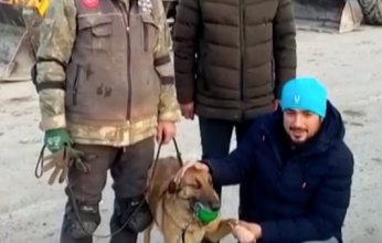 كلبة مدربة تساهم في إنقاذ 12 شخصا بـ زلزال تركيا