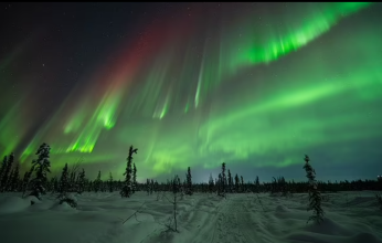 شاهد.. ظهور الشفق الأخضر في سماء ولاية ألاسكا بأمريكا