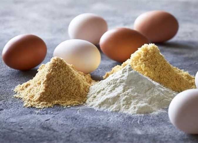 مصر تستورد " بيض بودرة " بـ 103.9 ألف دولار خلال 11 شهر مصر تستورد " بيض بودرة " بـ 103.9 ألف دولار خلال 11 شهر