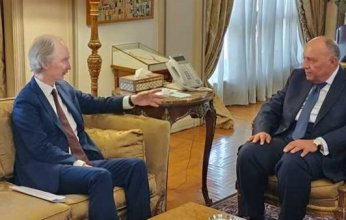 شكري يؤكد ضرورة استمرار تقديم الدعم من جميع الأطراف لمساعدة سوريا