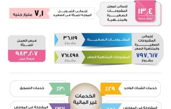 باسل رحمي: جهاز تنمية المشروعات مستمر في دعم مشروعات المرأة المعيلة