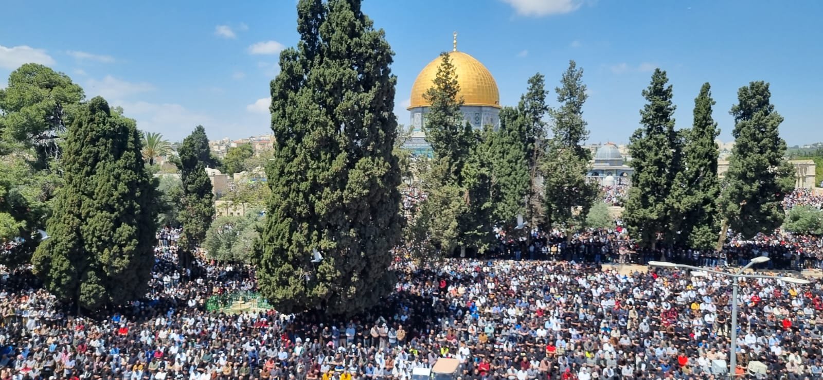 250 الف مصل ادوا صلاة الجمعة الرابعة من رمضان بالمسجد الاقصى 250 الف مصل ادوا صلاة الجمعة الرابعة من رمضان بالمسجد الاقصى