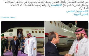 لقاء السيسي وبن سلمان يتصدر منصات التواصل