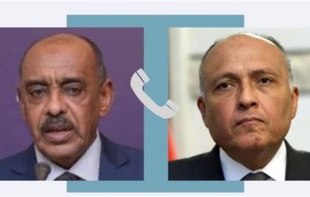 شكرى يجرى اتصالين هاتفيين مع نظيره الجيبوتي والقائم بأعمال وزير خارجية جنوب السودان