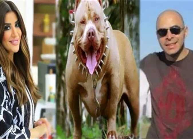 بعد أكثر من شهر ونصف.. وفاة ضحية كلب المذيعة المصرية أميرة شنب في إحدى المستشفيات بعد أكثر من شهر ونصف.. وفاة ضحية كلب المذيعة المصرية أميرة شنب في إحدى المستشفيات