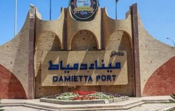 مصر.. ميناء دمياط يتداول 35 سفينة للحاويات والبضائع العامة