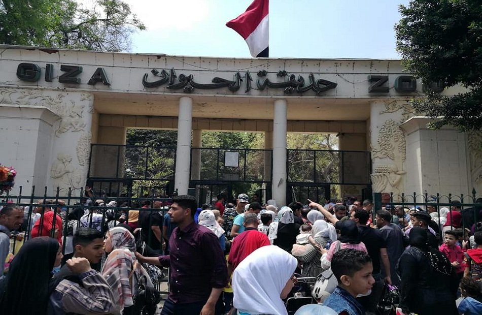 103 آلاف شخص يزورون حديقة الحيوان بمصر في ثاني أيام عيد الفطر 103 آلاف شخص يزورون حديقة الحيوان بمصر في ثاني أيام عيد الفطر