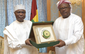 رئيس غينيا بيساو يستقبل أمين منظمة التعاون الإسلامي