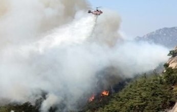 اندلاع حرائق ضخمة في غابات كوريا الجنوبية