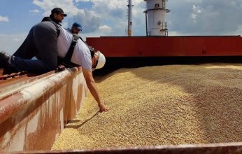 بلغاريا.. حظر مؤقت على واردات الحبوب الأوكرانية